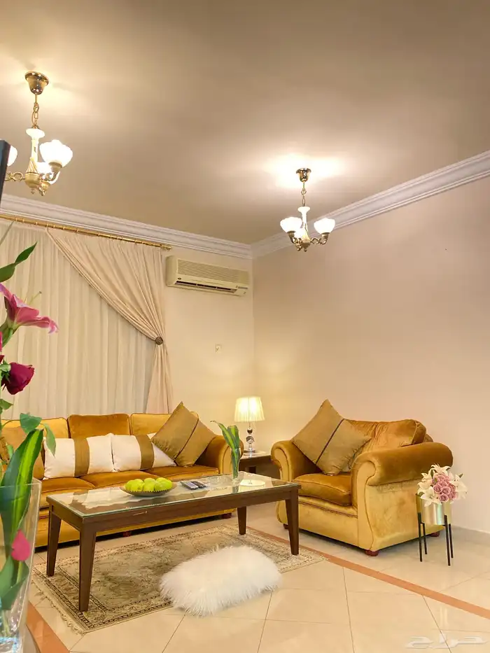 شقق مفروشة شهري استديو غرفة وحمام وغرفة وصالة 23