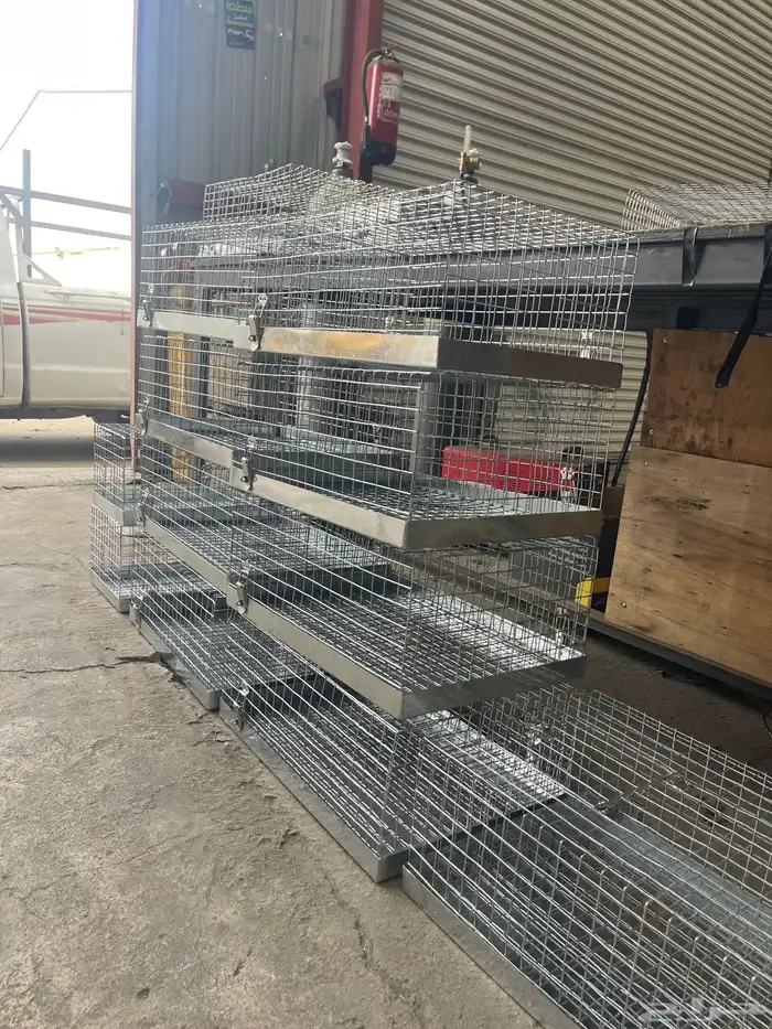 قفص حمام للصقاقير ومراكيب 1