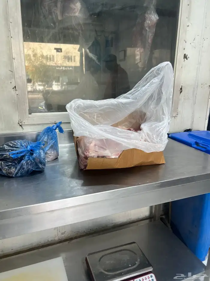 نعيم خرفان هرافى فاخر للآخر 21