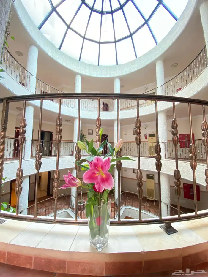 شقق مفروشة شهري استديو غرفة وحمام وغرفة وصالة 40