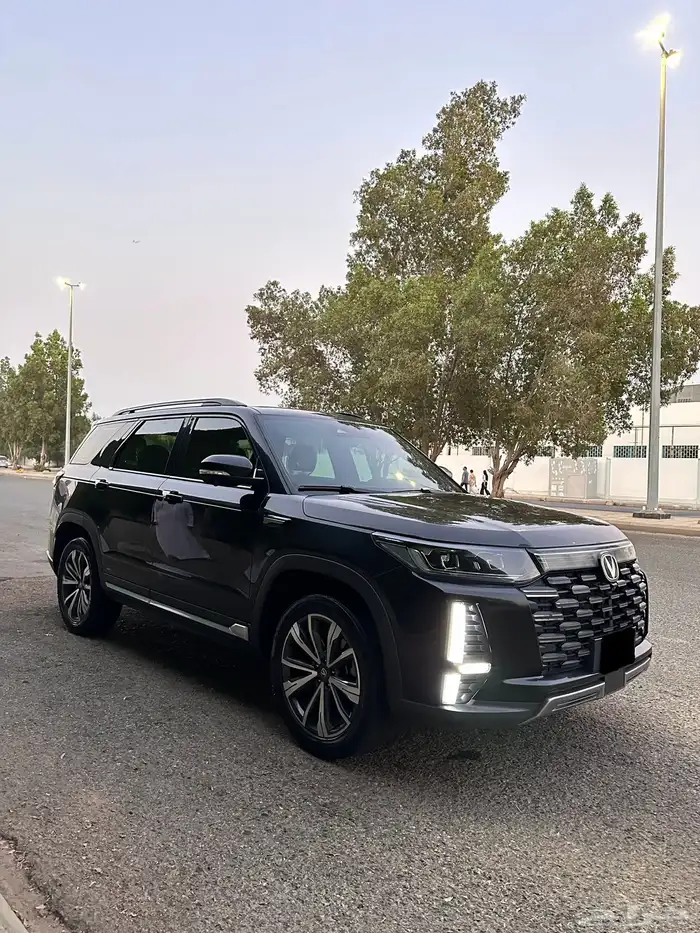 شانجان 2024 10