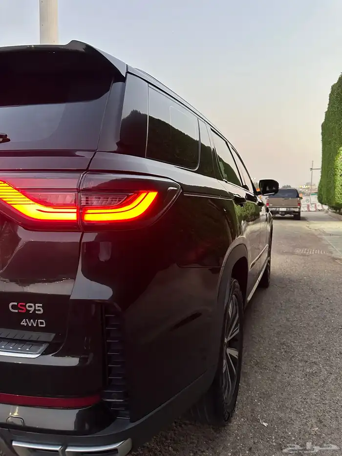 شانجان 2024 12