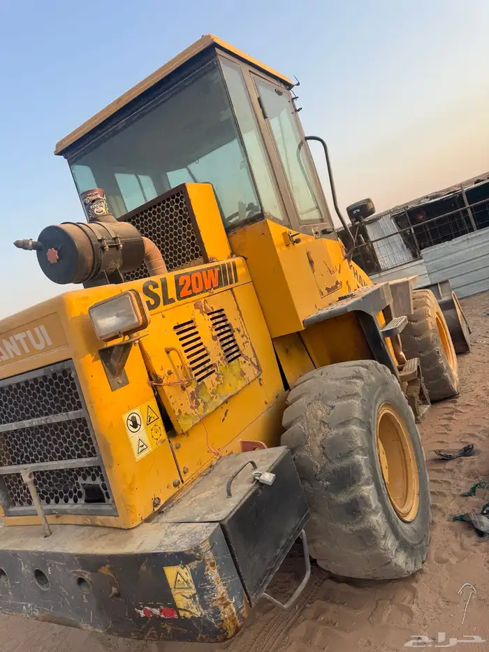 شيول صيني 19