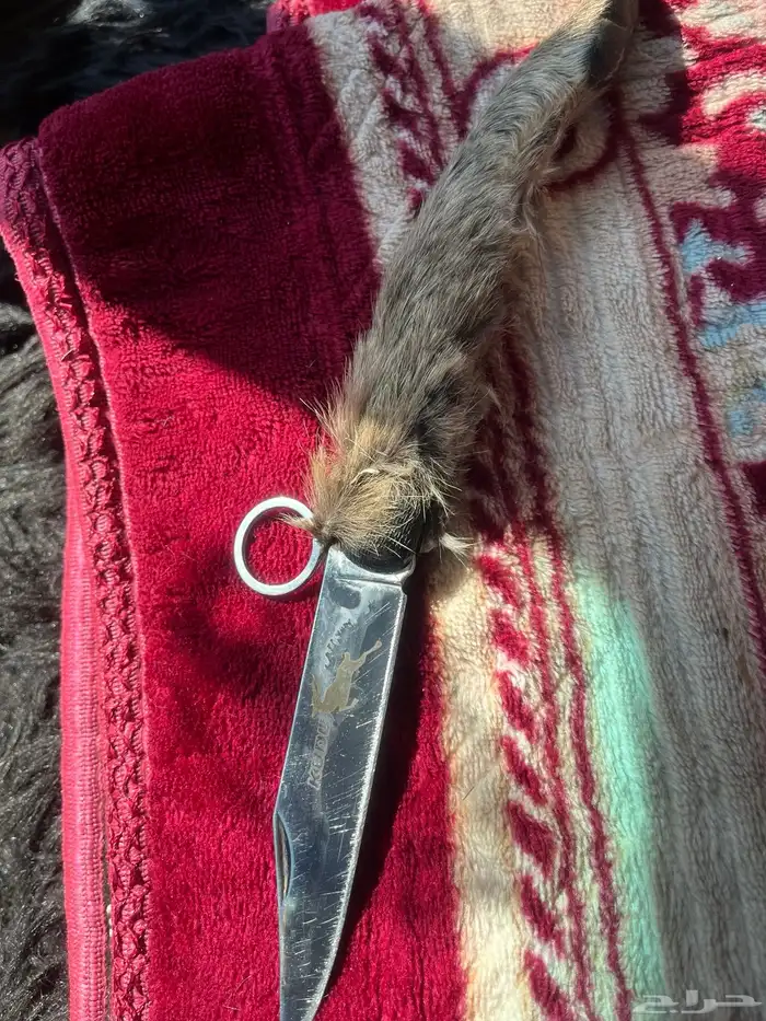 سكين عطافي ملبسه جلد وبر بري 5