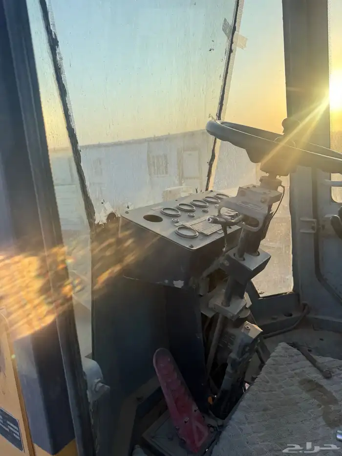 شيول صيني 16