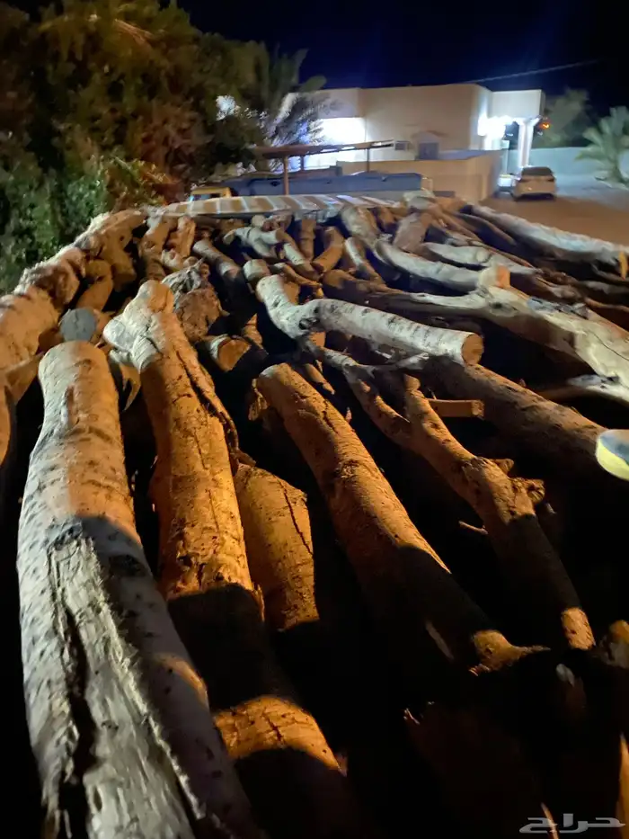 دينه اسيزوز شبك تحمل لوحه س م ر 5000شرط 1