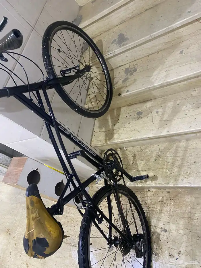 دارجه سست PERFORMER 3