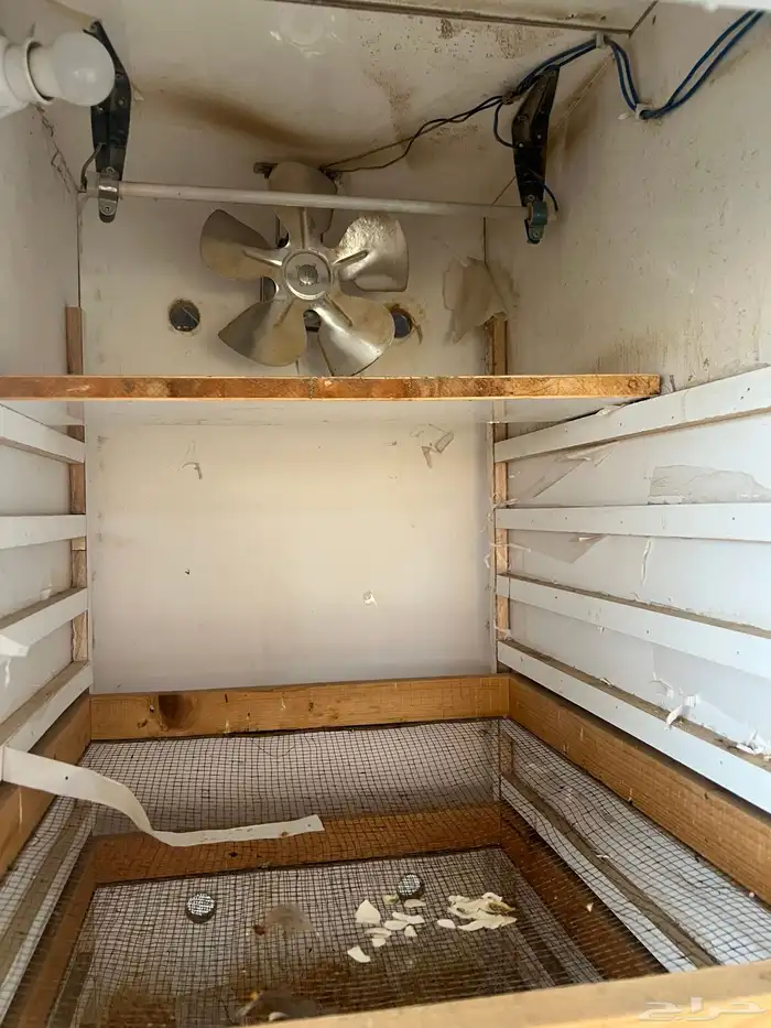 فقاسه عادي(تم البيع) 1