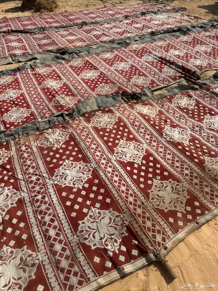 بيت شعر بدون جمالون 0