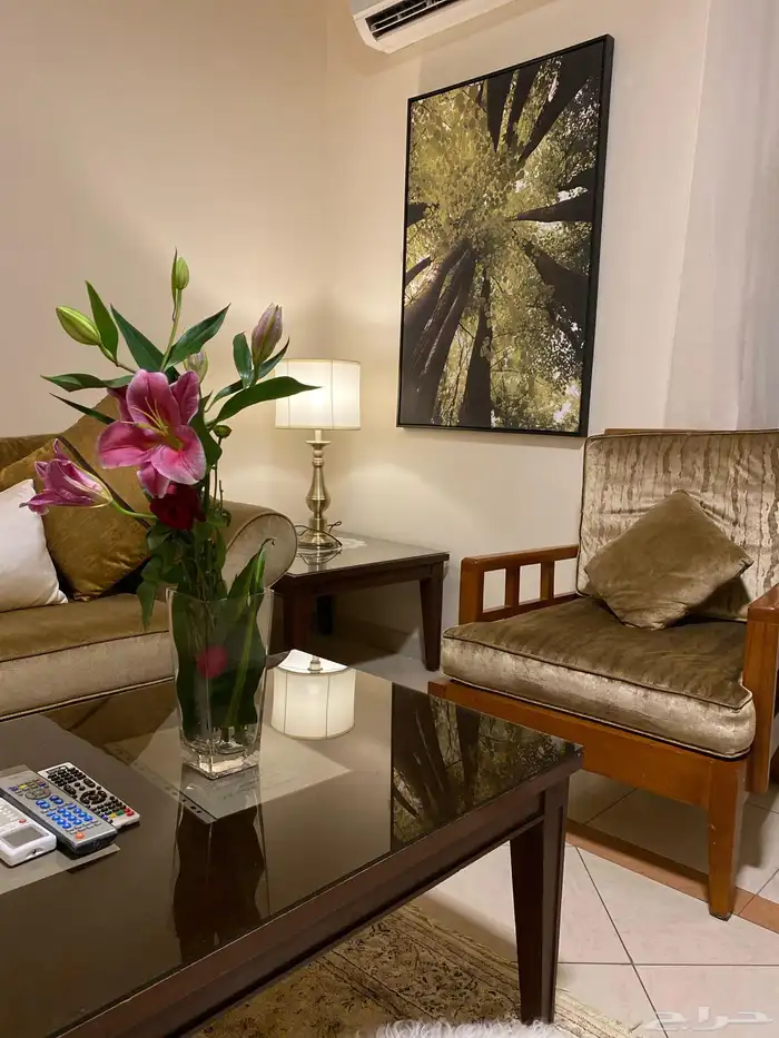 شقق مفروشة شهري استديو غرفة وحمام وغرفة وصالة 1