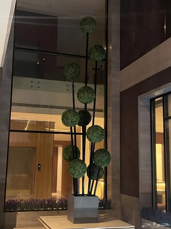 تنسيق شجر أي مناطق 0