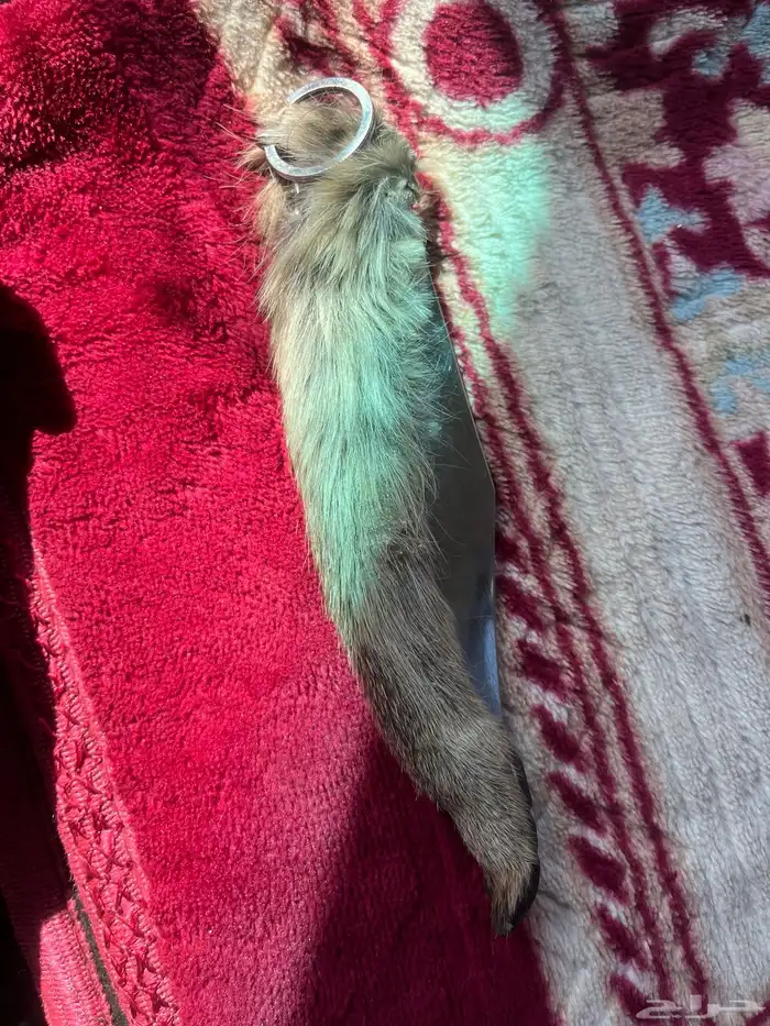 سكين عطافي ملبسه جلد وبر بري 9