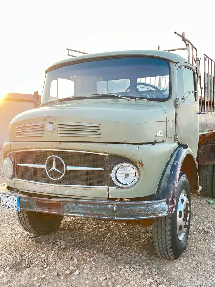 وايت حصاني شرررط 0