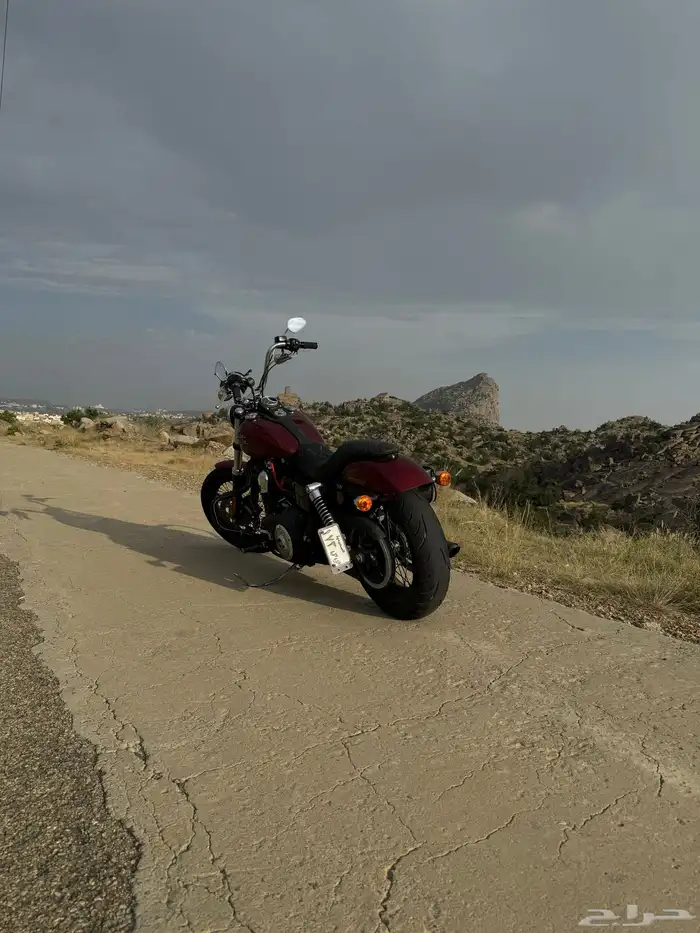 دباب هارلي استريت بوب 3