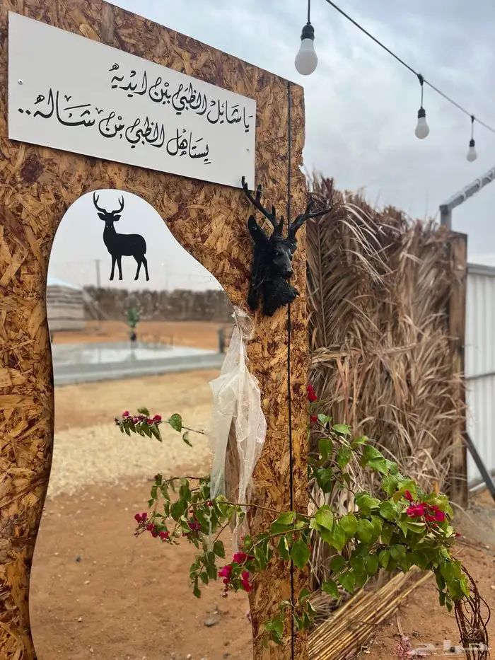 مخيم عين الظبي للايجار اليومي 2