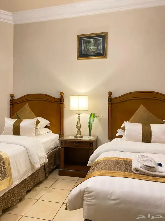 شقق مفروشة شهري استديو غرفة وحمام وغرفة وصالة 42