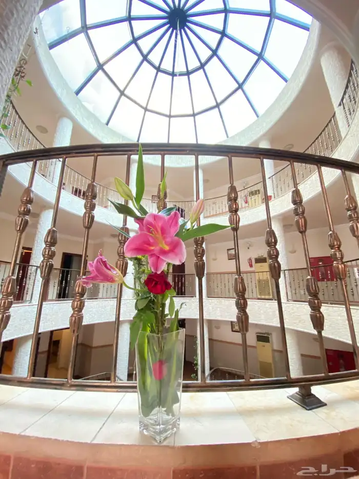 شقق مفروشة شهري استديو غرفة وحمام وغرفة وصالة 37