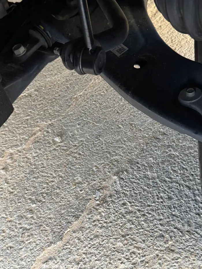 كرنفال 2021 ديزل 51