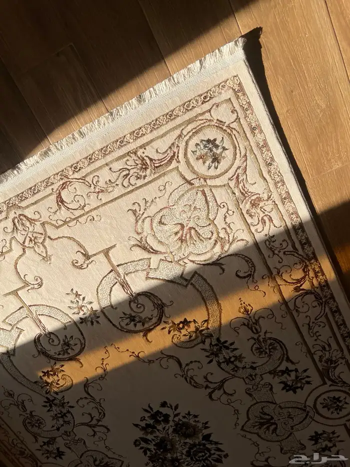 زولية جديدة 1