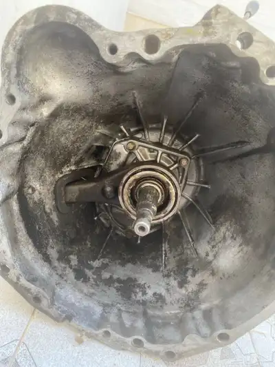 جربكس ونيت ددسن 1998 index