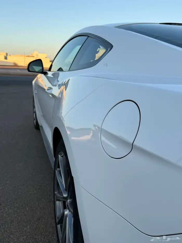 للبيع موستنج ممشى قليل 30