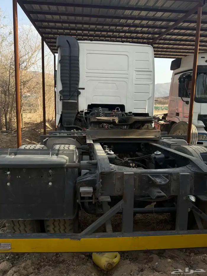 راس فلفو زاهد 6