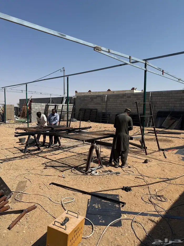 الهجن الطايف 0