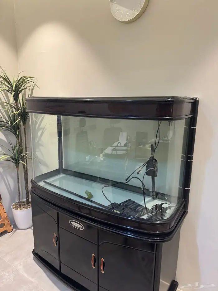 حوض اسماك حجم كبير جدا نص طن للبيع 0