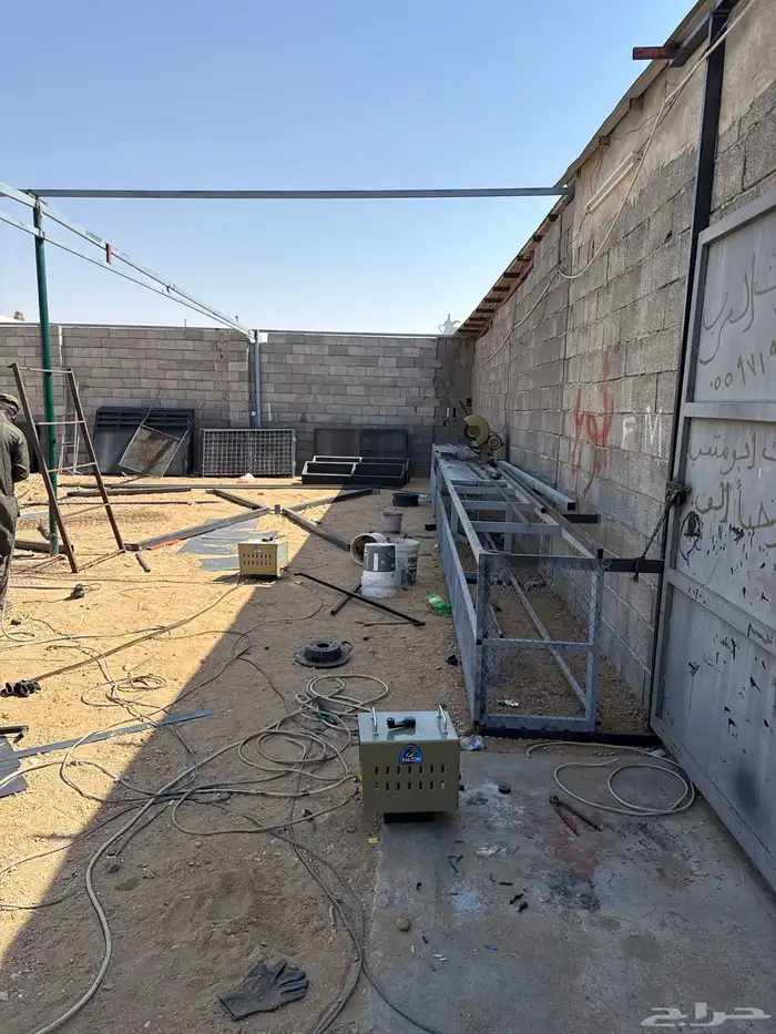 الهجن الطايف 1