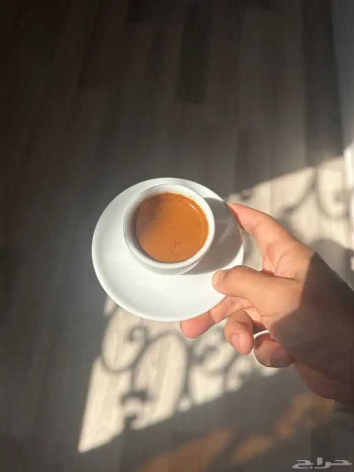 شراكه تجاريه مطعم   فود ترك جده 4