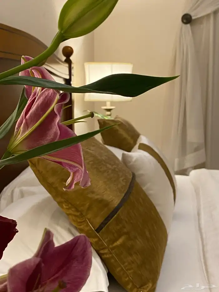 شقق مفروشة شهري استديو غرفة وحمام وغرفة وصالة 13