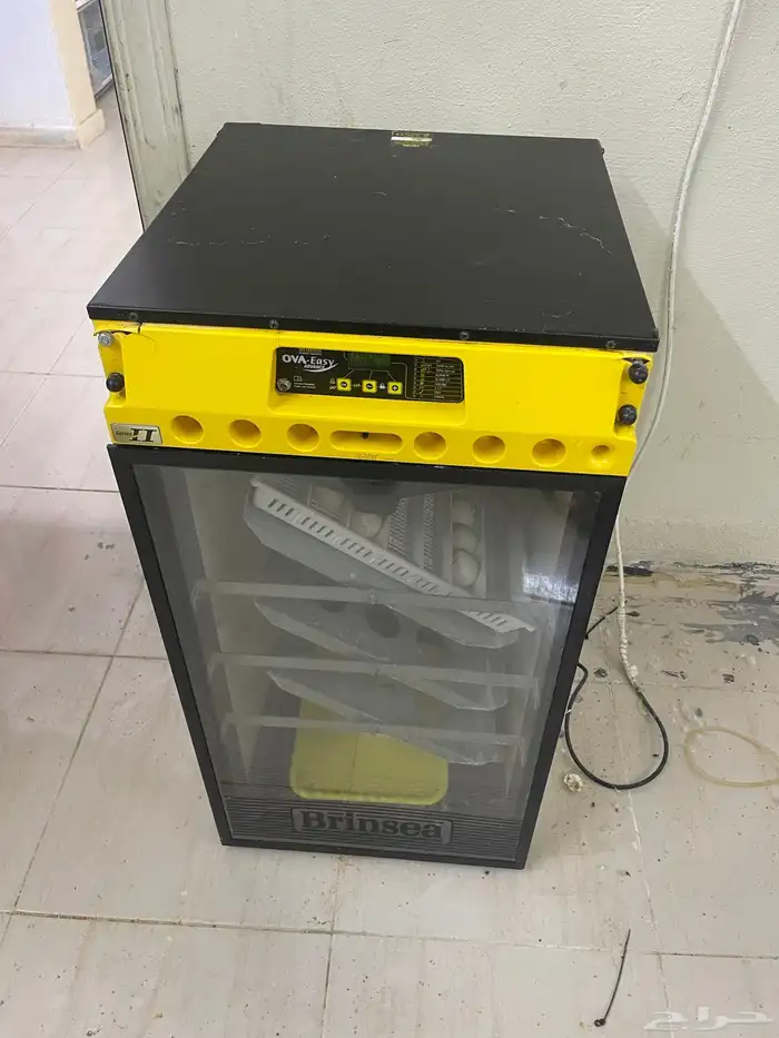 للبيع فقاسه برنسي فقاسه بلاك شيكن تايلندي 0