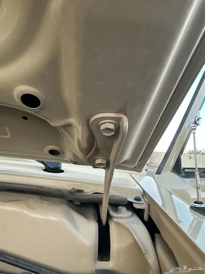 شاص 2018 سعودي سوبر دلقس (مخزن) مباع 12