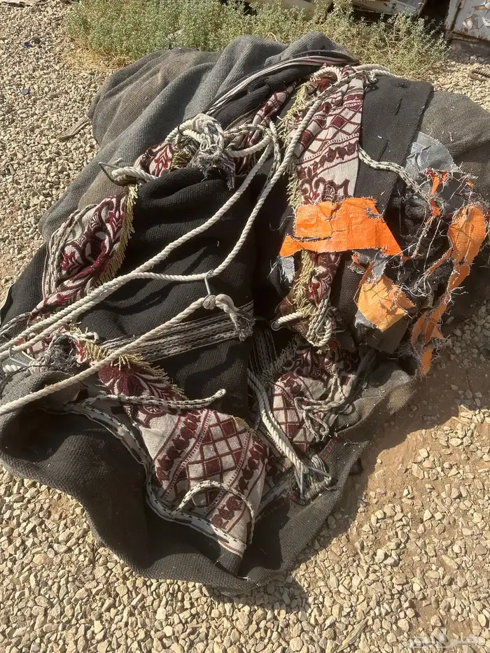 بيت شعر بدون جمالون 1