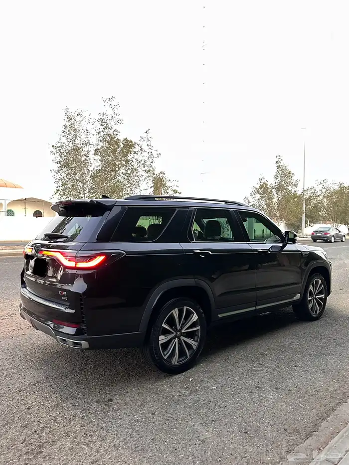 شانجان 2024 11