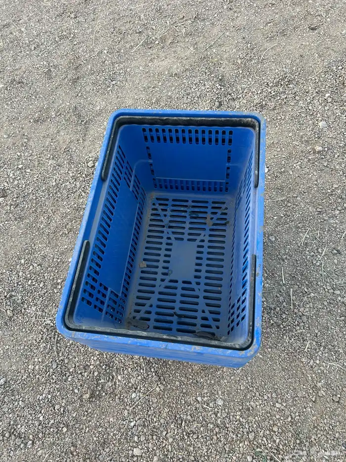 سلة للبيع العدد7 حبات 1