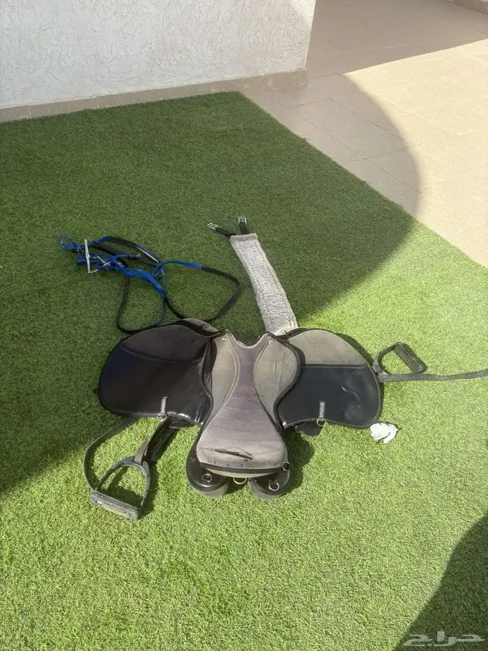 سرج ستيتوس 1