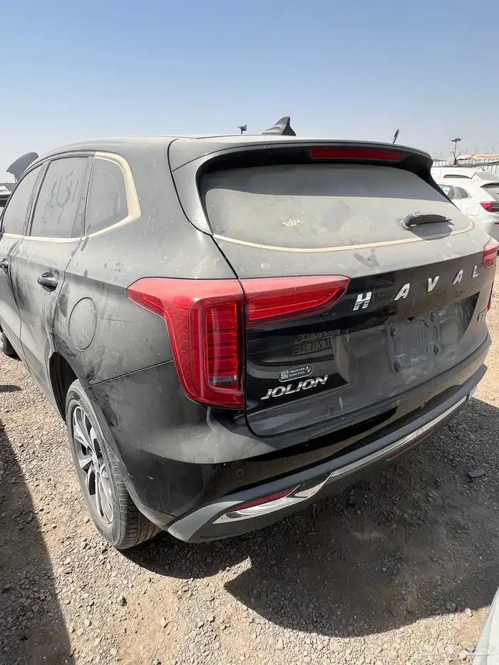 2023 للبيع هافال جوليان 6