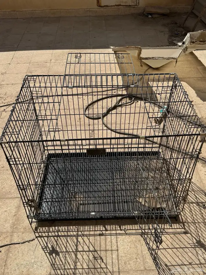 شبك قطط   كلاب 1