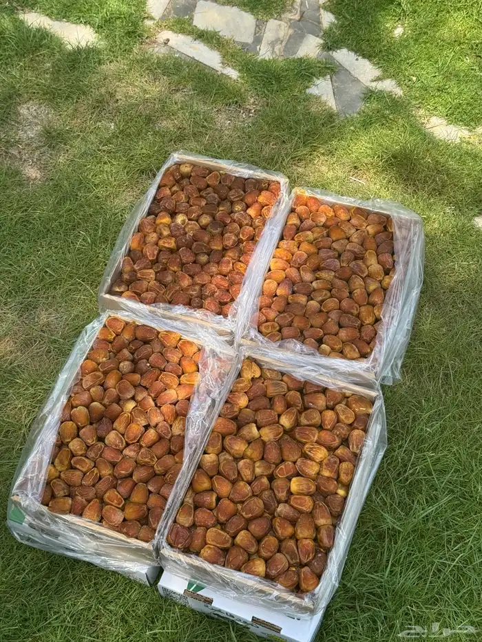 مفتل جالكسي 0