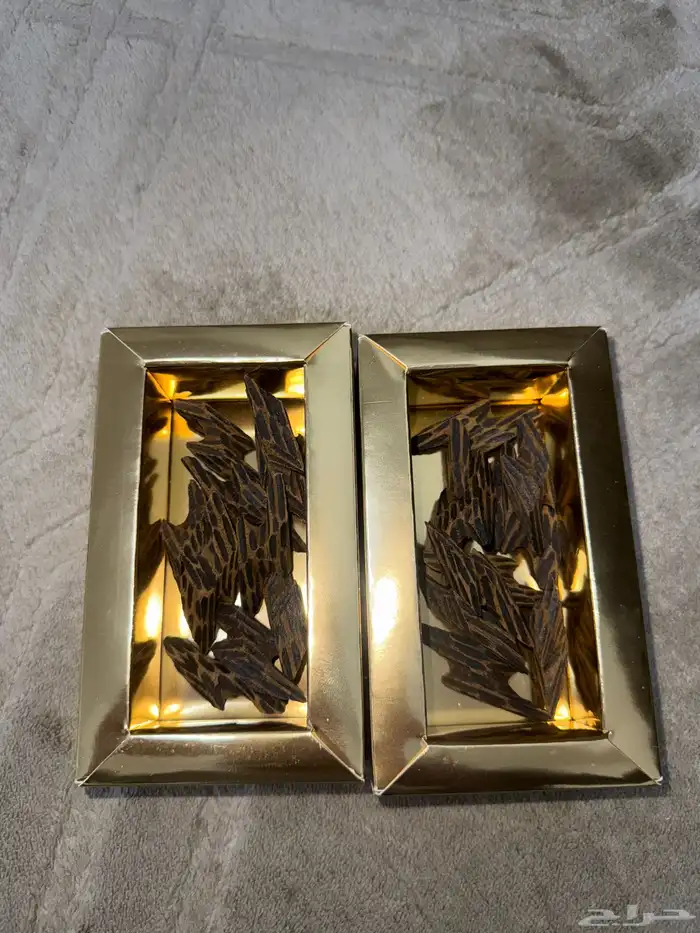 عود تايقر درجة اولى وقيتين 0