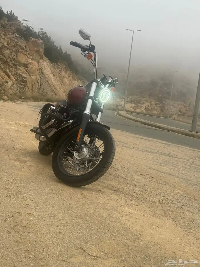 دباب هارلي استريت بوب 1