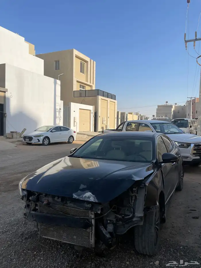 كدنزا 2019 نص فل 0