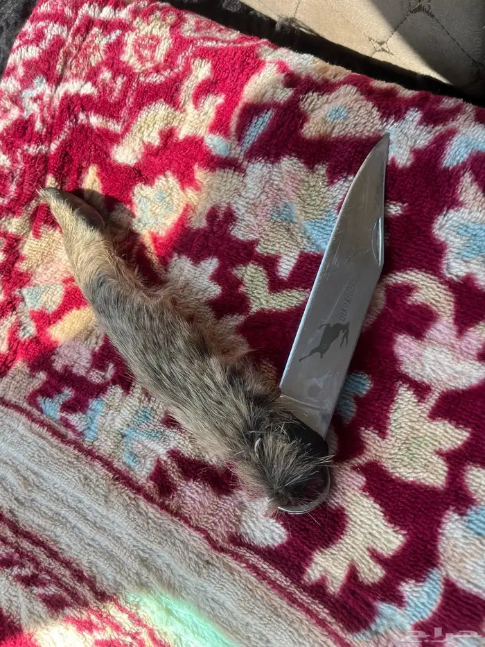سكين عطافي ملبسه جلد وبر بري 1