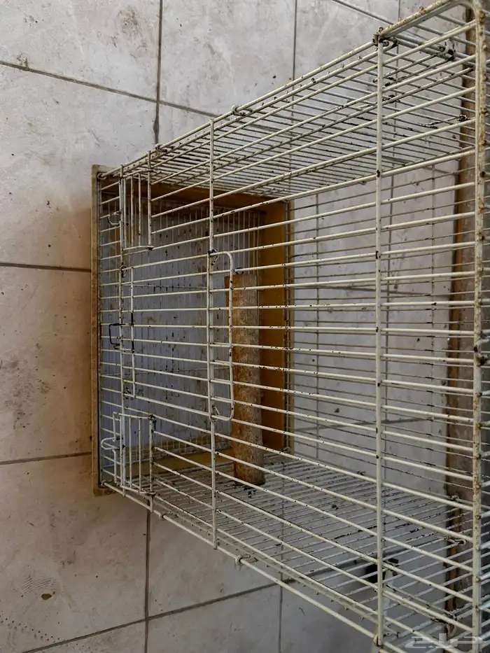 اقفاص كاسكو   ستاند للطيور الكبيره 4