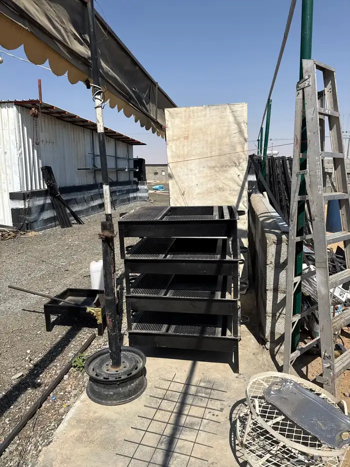 الهجن الطايف 2