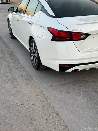 التيماء index