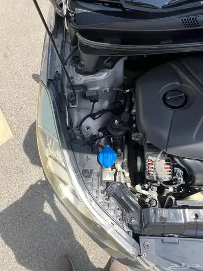 النترا 2013 للبيع index