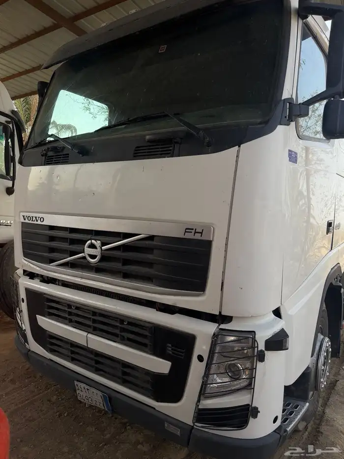 راس فلفو زاهد 2