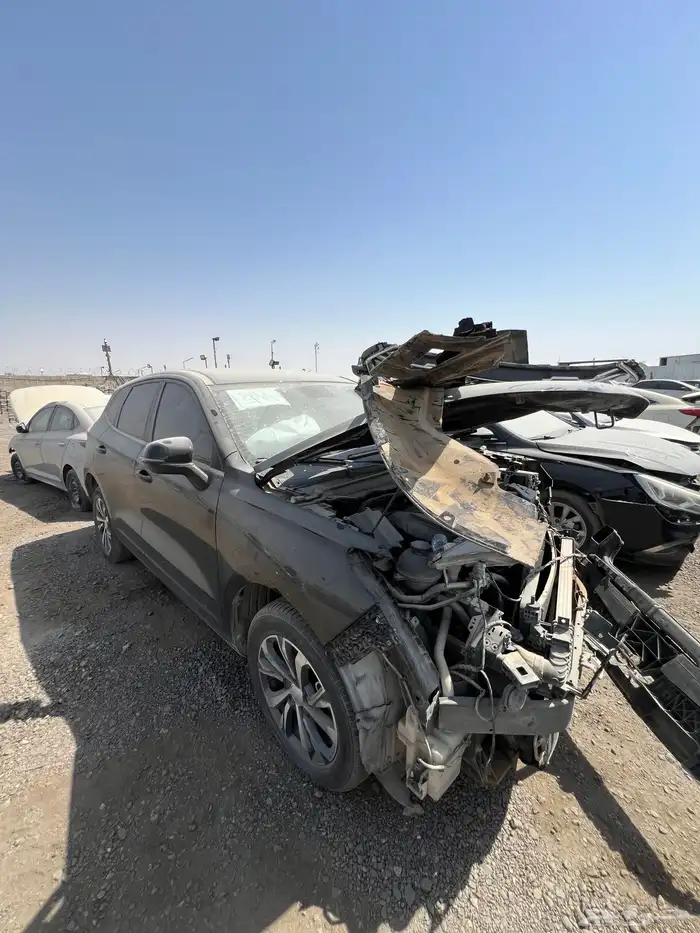 2023 للبيع هافال جوليان 1